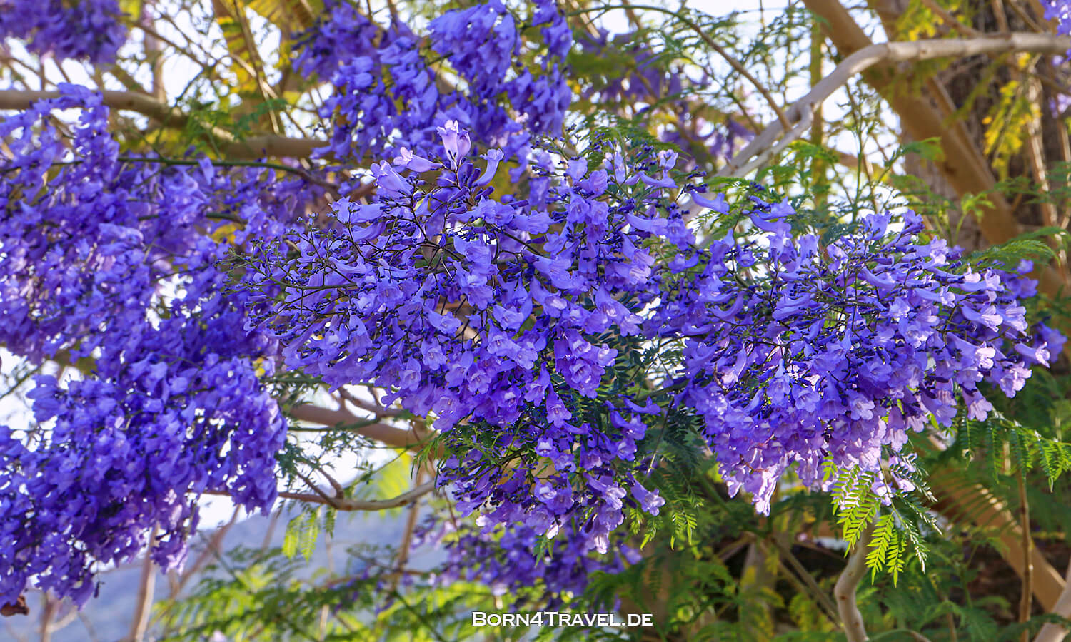 Palm Springs,Coachella Valley,California,USA,born4travel.de