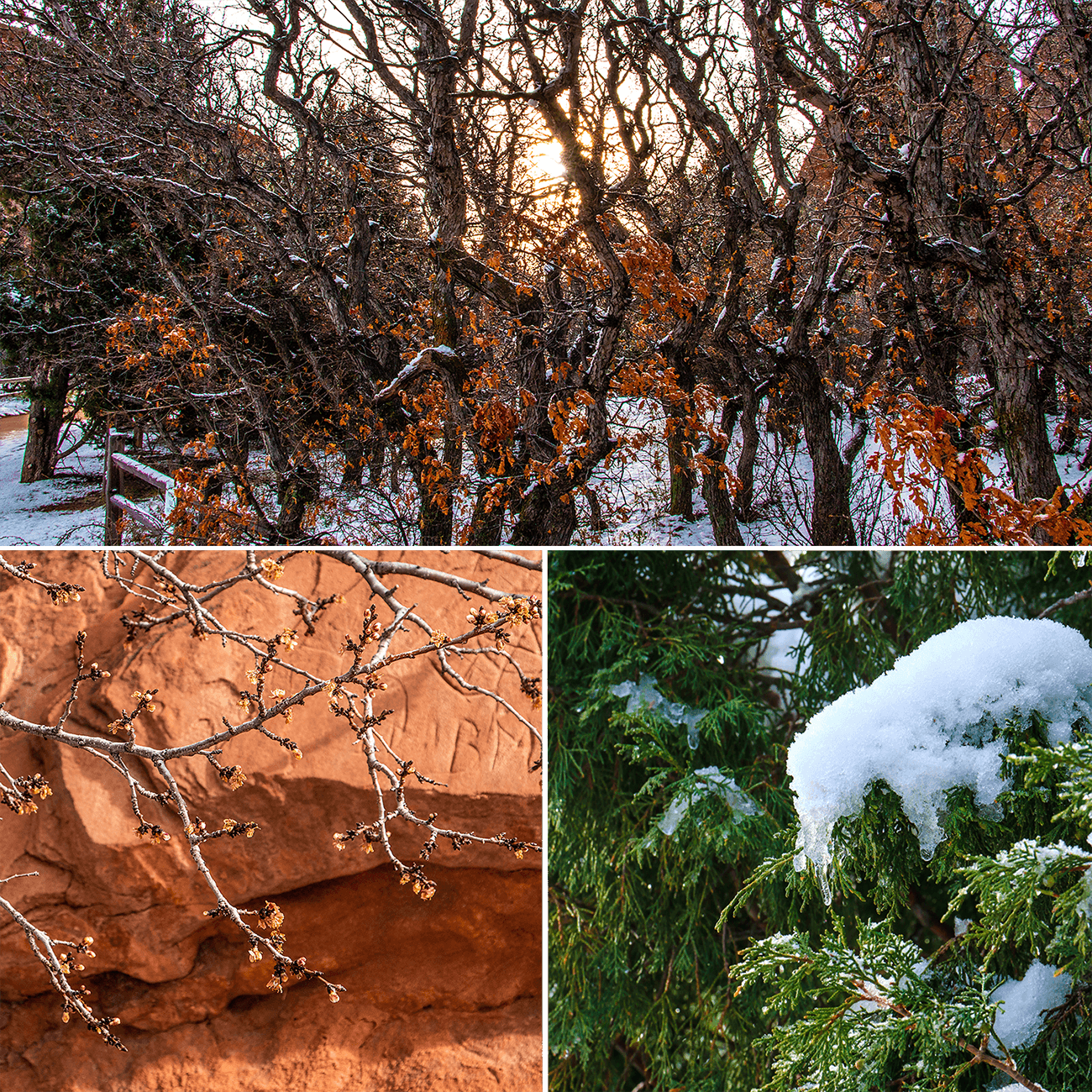 Walk through Garden of the Gods, Colorado Springs,USA,born4travel.de Walk through Garden of the Gods, Colorado Springs,USA,born4travel.de