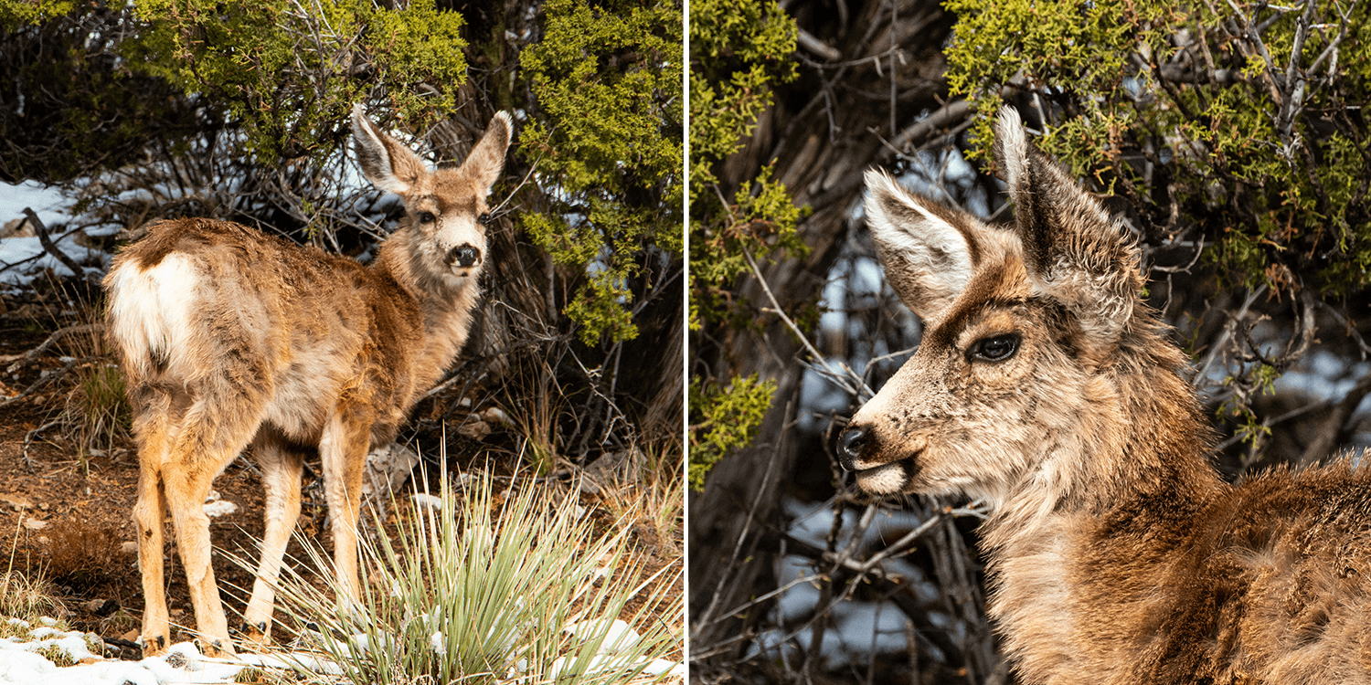 Walk through Garden of the Gods, Colorado Springs,USA,born4travel.de Walk through Garden of the Gods, Colorado Springs,USA,born4travel.de