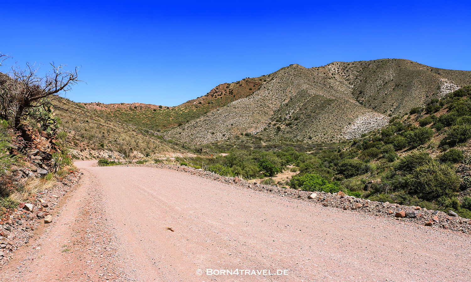 Impressionen an der Apache Pass Road,Arizona,USA,born4travel.de