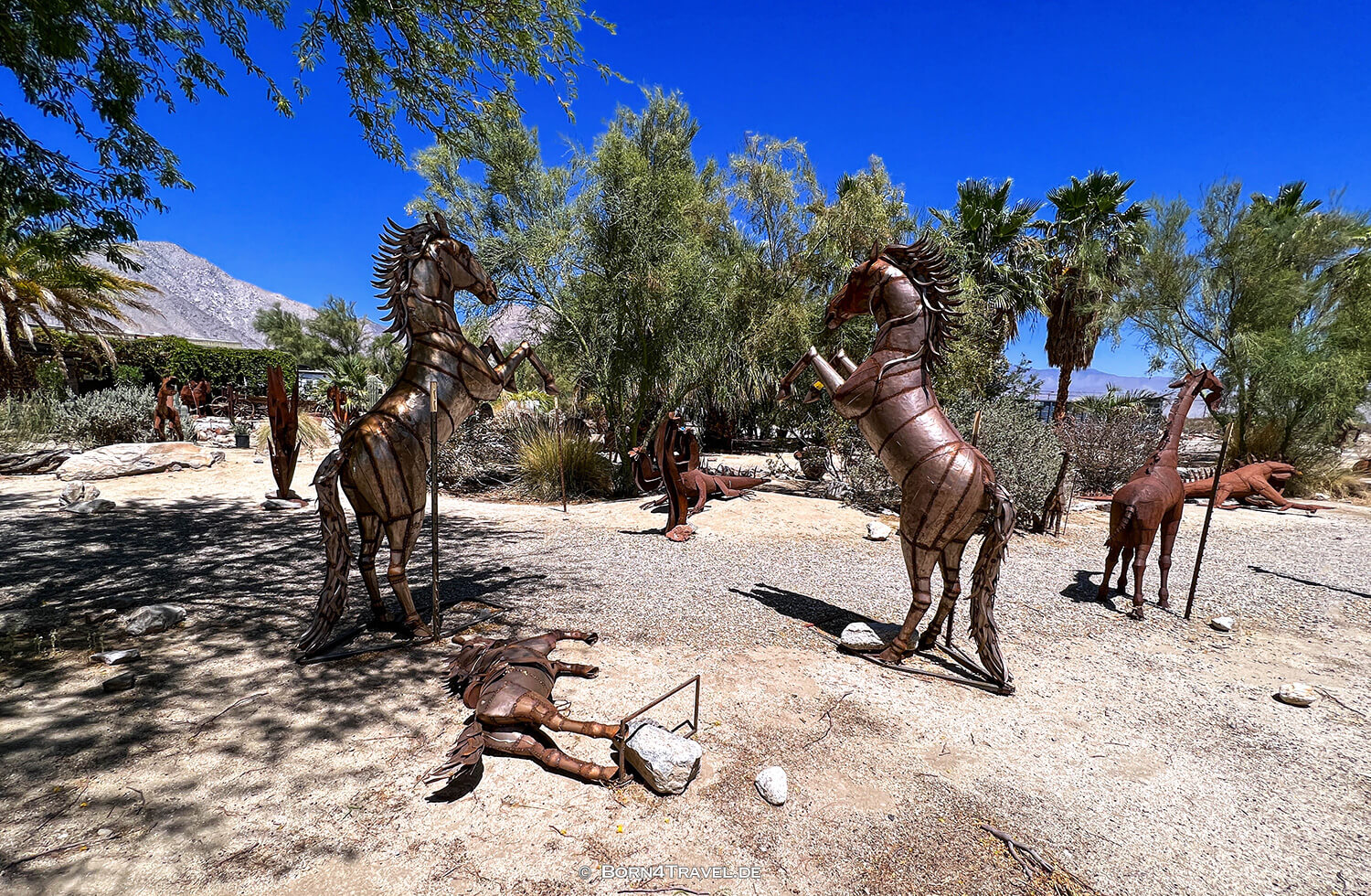 Borrego Springs,Reisebericht 2022 Southern California,born4travel.de