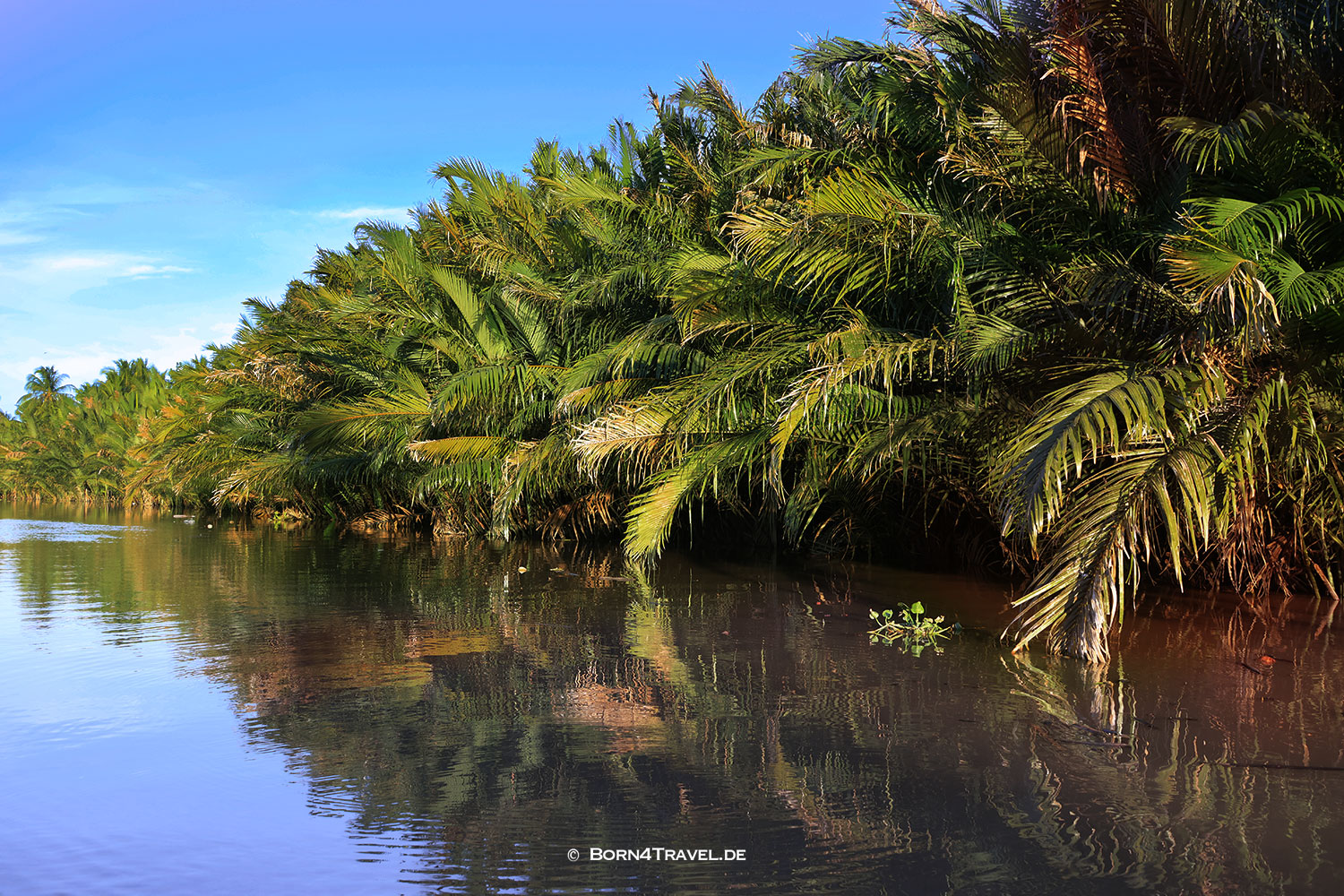 Mekong River Boat Trip,Ben Tre,Vietnam2025,born4travel.de Mekong River Boat Trip,Ben Tre,Vietnam2025,born4travel.de