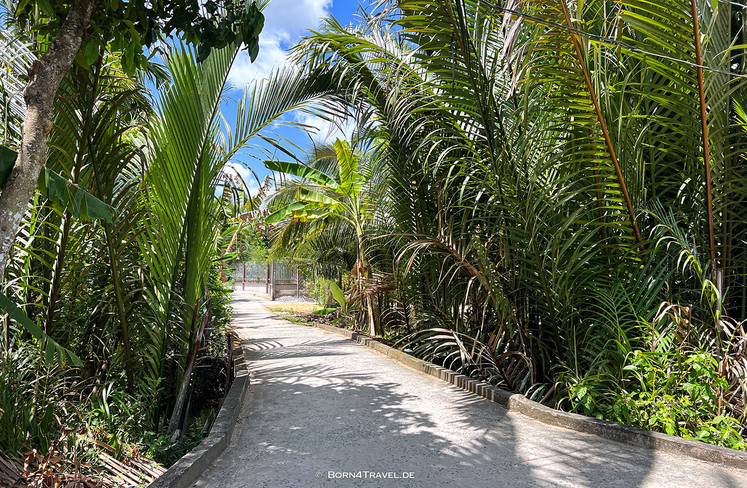 Mekong Ben Tre,Vietnam2025,born4travel.de Mekong Ben Tre,Vietnam2025,born4travel.de