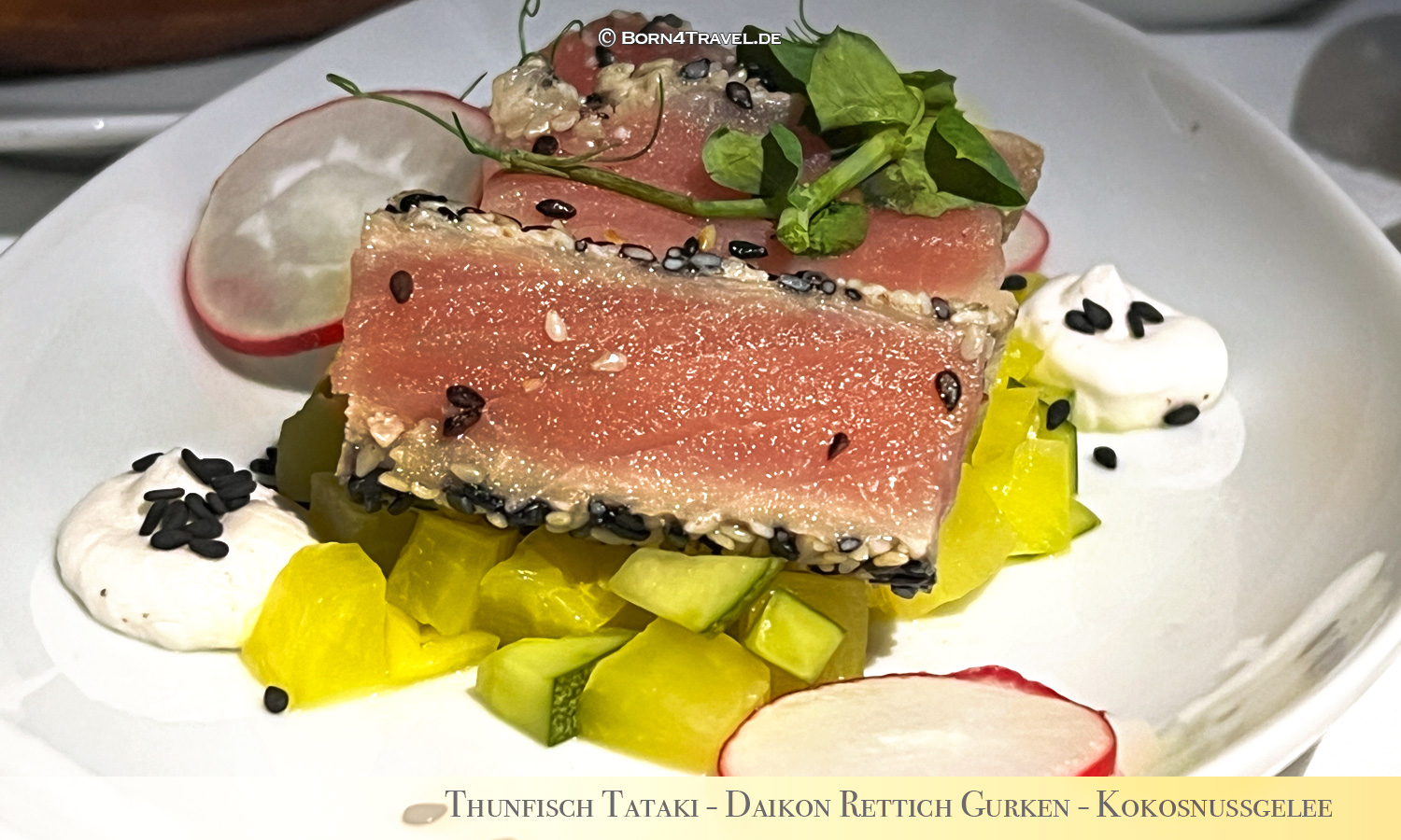 Lufthansa SIN-MUC,born4travel.de