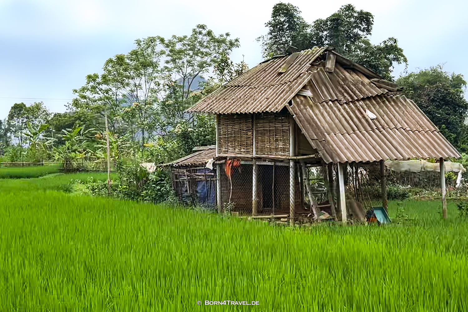 Vietnam2025,born4travel.de