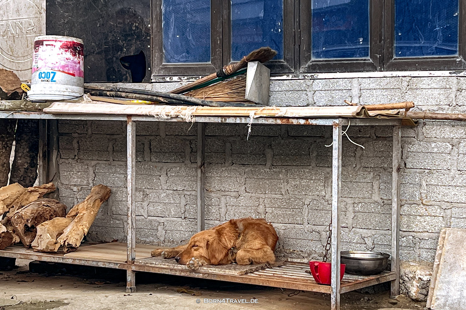  Hà Giang,Vietnam2025,born4travel.de