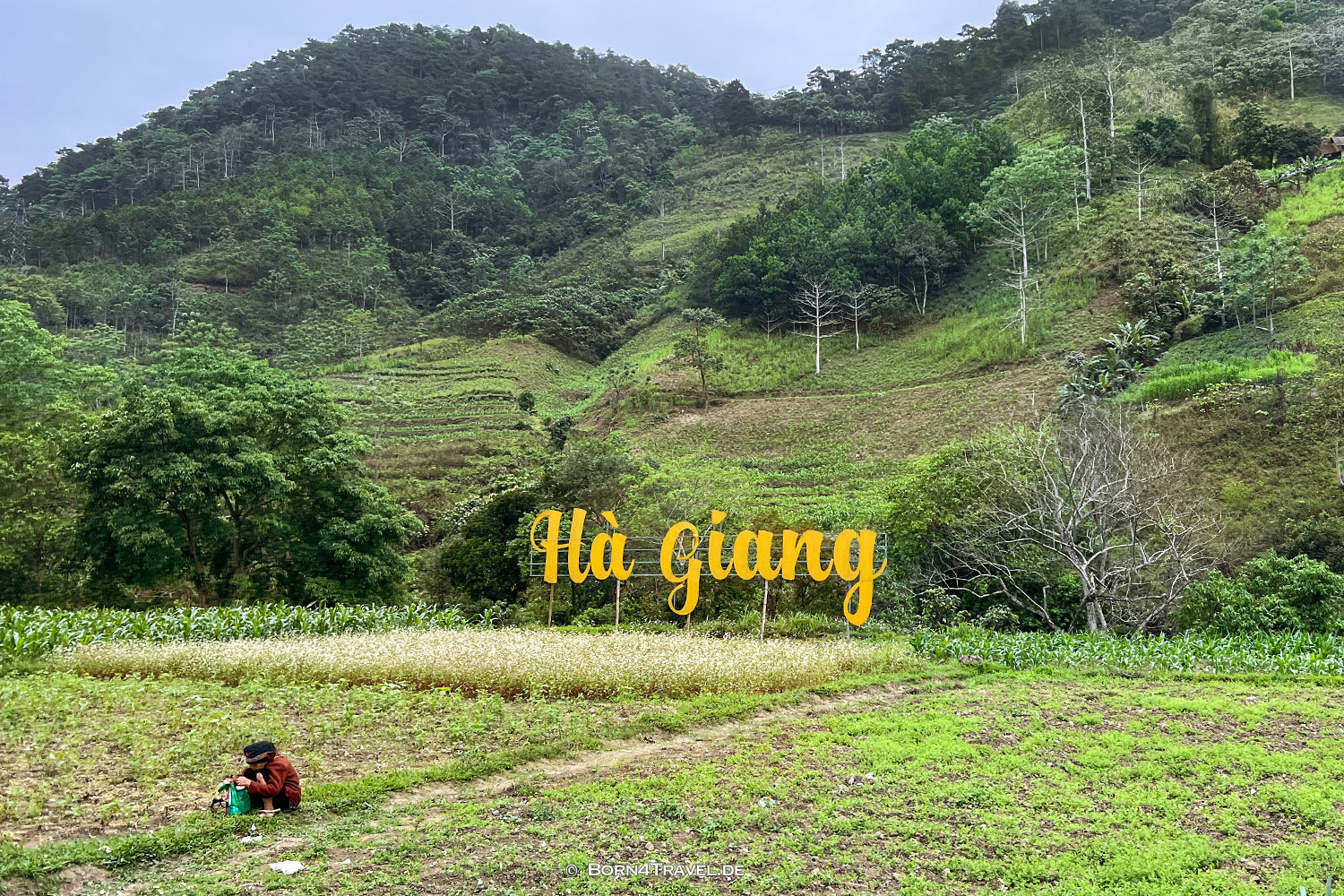 Hà Giang Loop,Vietnam2025,born4travel.de