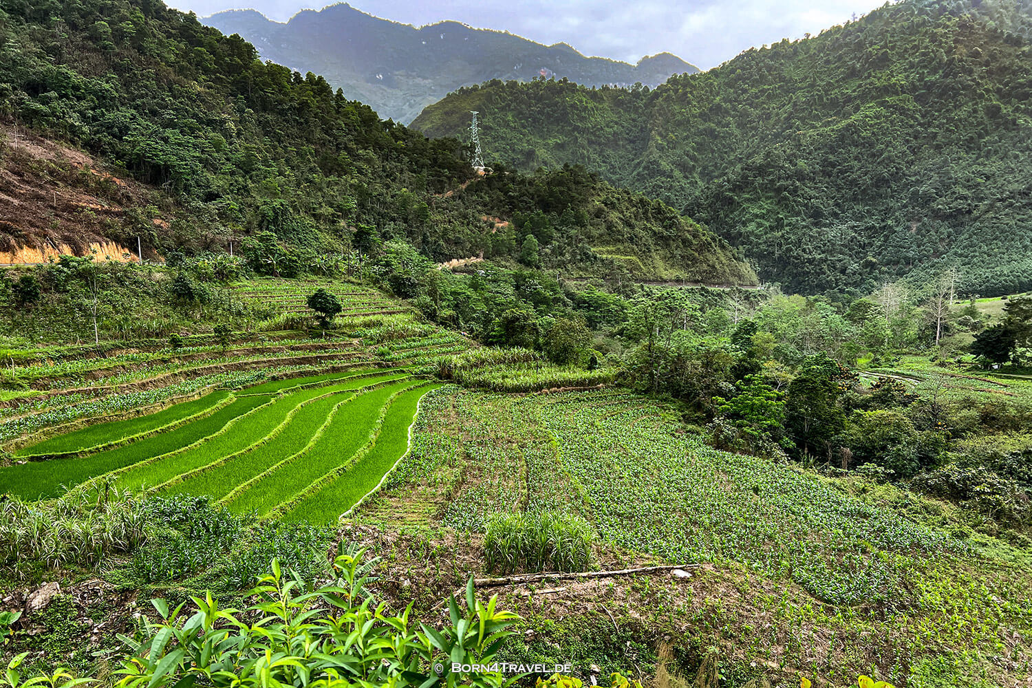 Hà Giang Loop,Vietnam2025,born4travel.de