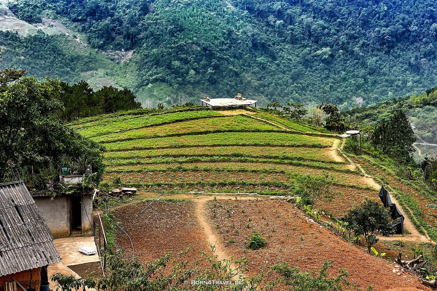 Hà Giang Loop,Vietnam2025,born4travel.de