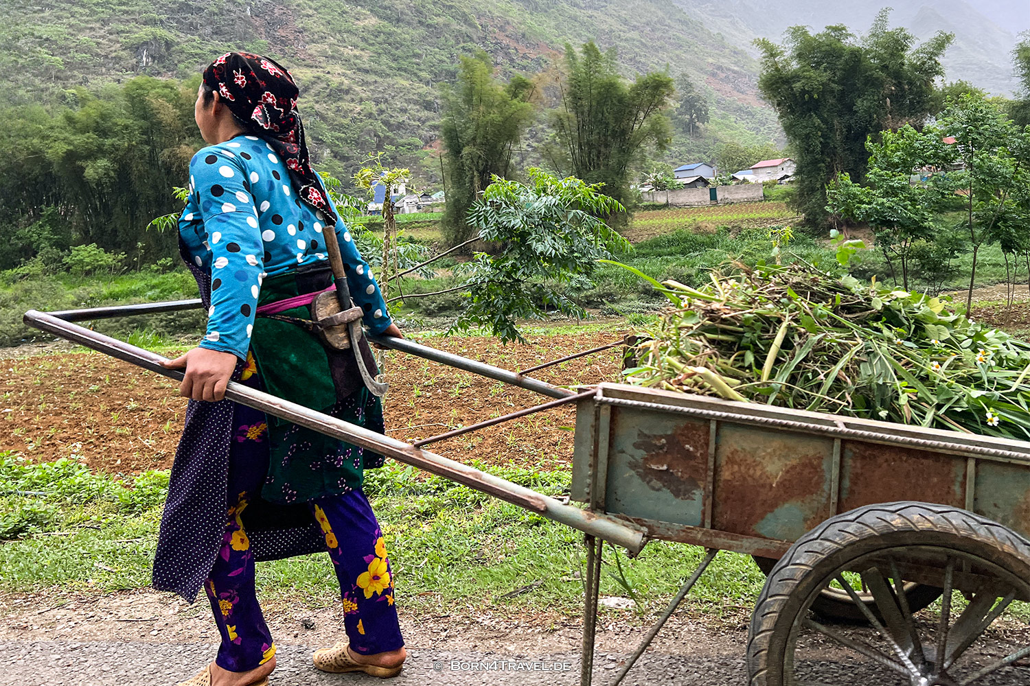 Hà Giang Loop,Vietnam2025,born4travel.de