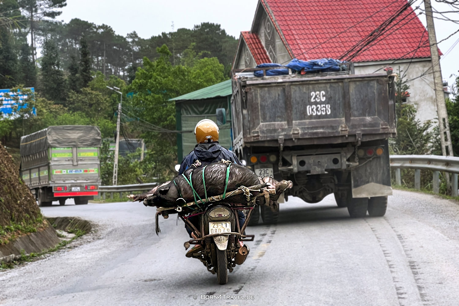 Vietnam2025,born4travel.de