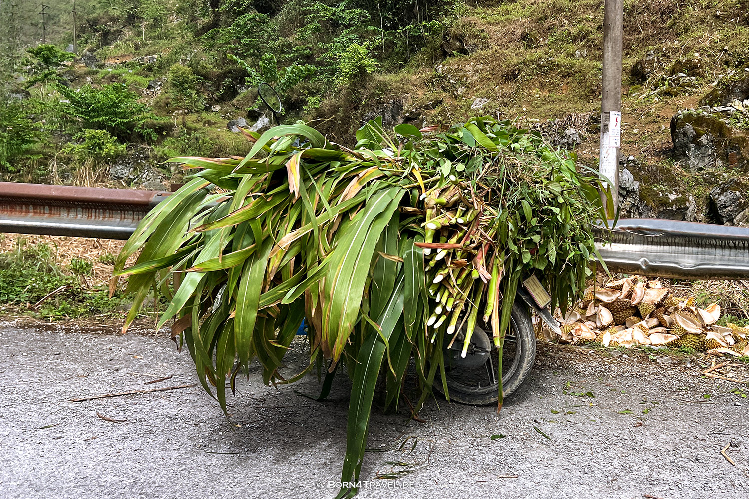 Hà Giang Loop,Vietnam2025,born4travel.de