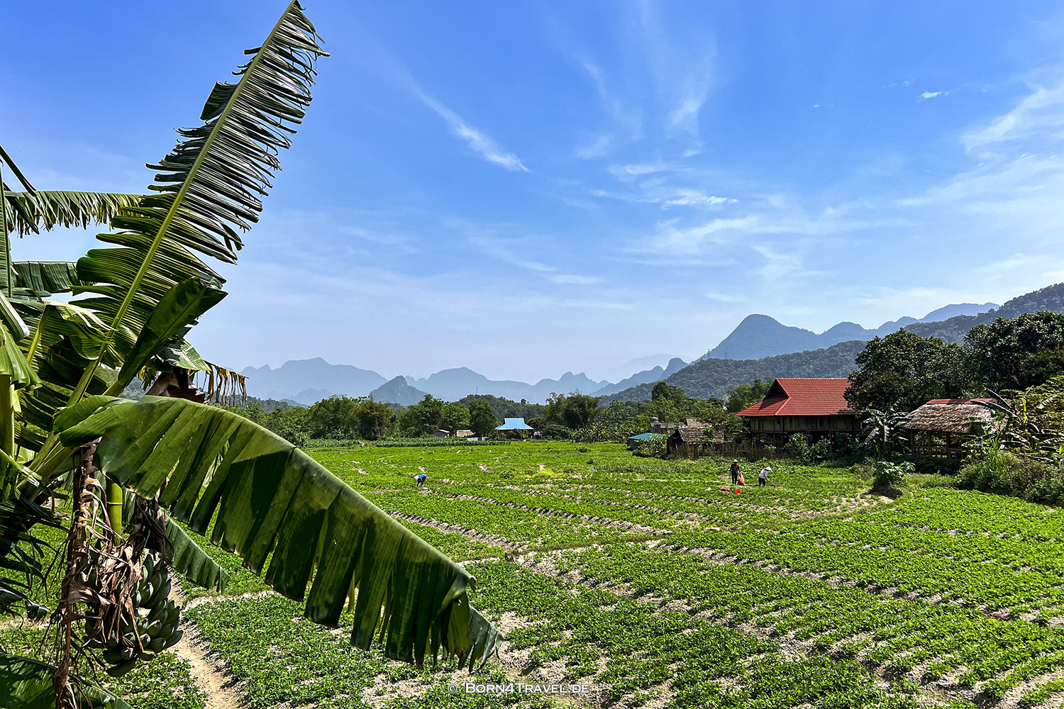 Skybay Lodge Hà Giang,Vietnam2025,born4travel.de