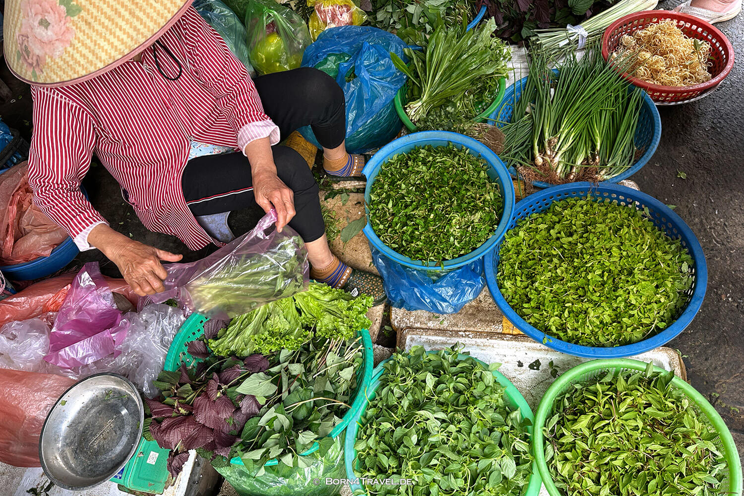 Zentrale Lebensmittelmarkt in Hội An,Vietnam2025,born4travel.de Zentrale Lebensmittelmarkt in Hội An,Vietnam2025,born4travel.de