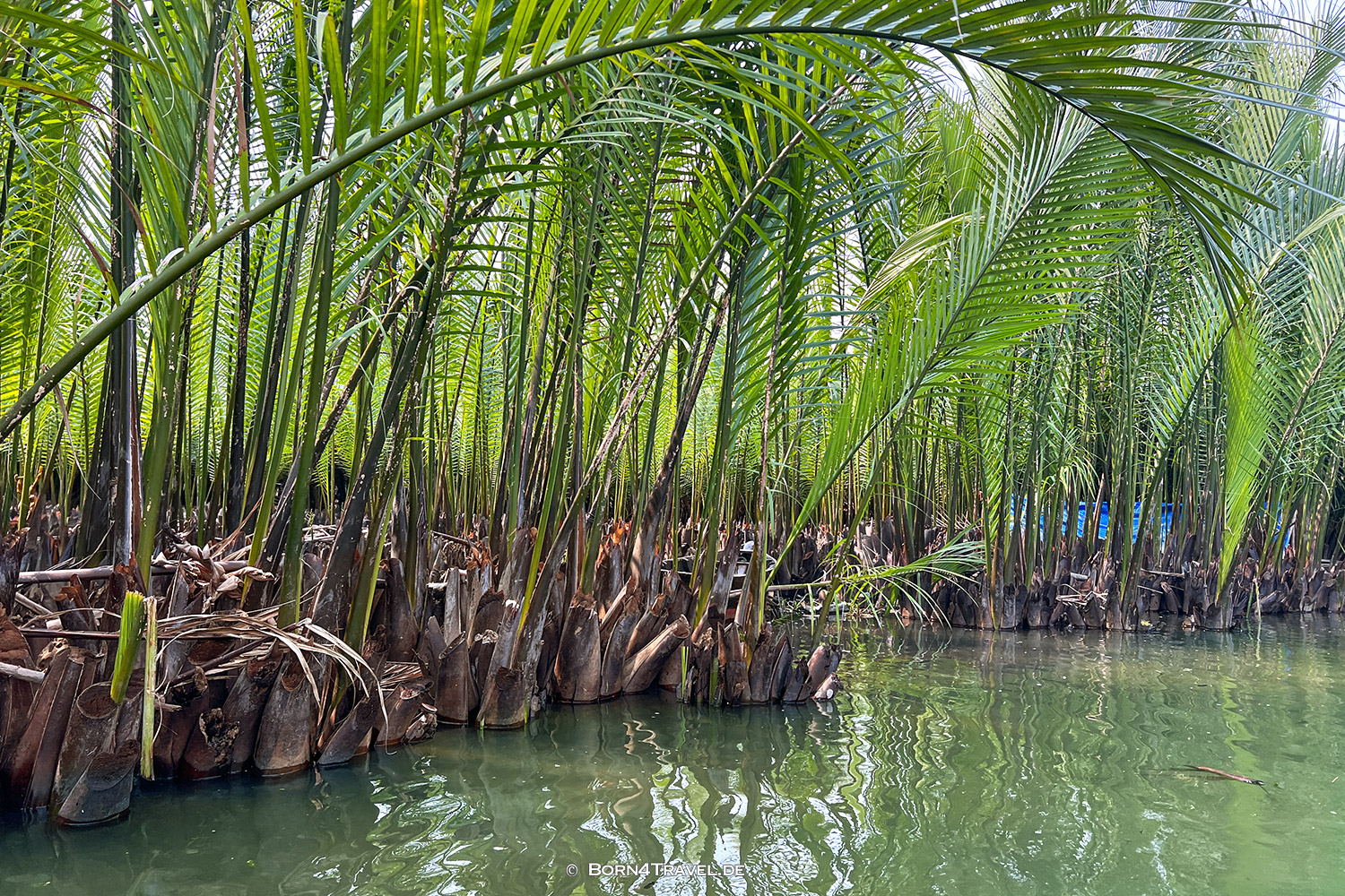 Coconut Basket Boat Tour in Hội An,Vietnam2025,born4travel.de Coconut Basket Boat Tour in Hội An,Vietnam2025,born4travel.de