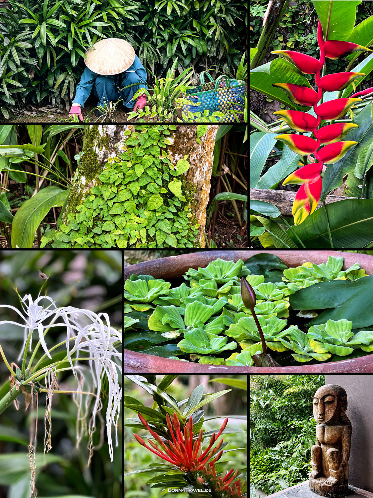 Pilgrimage Village Resort ,Huế,Vietnam2025,born4travel.de Pilgrimage Village Resort ,Huế,Vietnam2025,born4travel.de