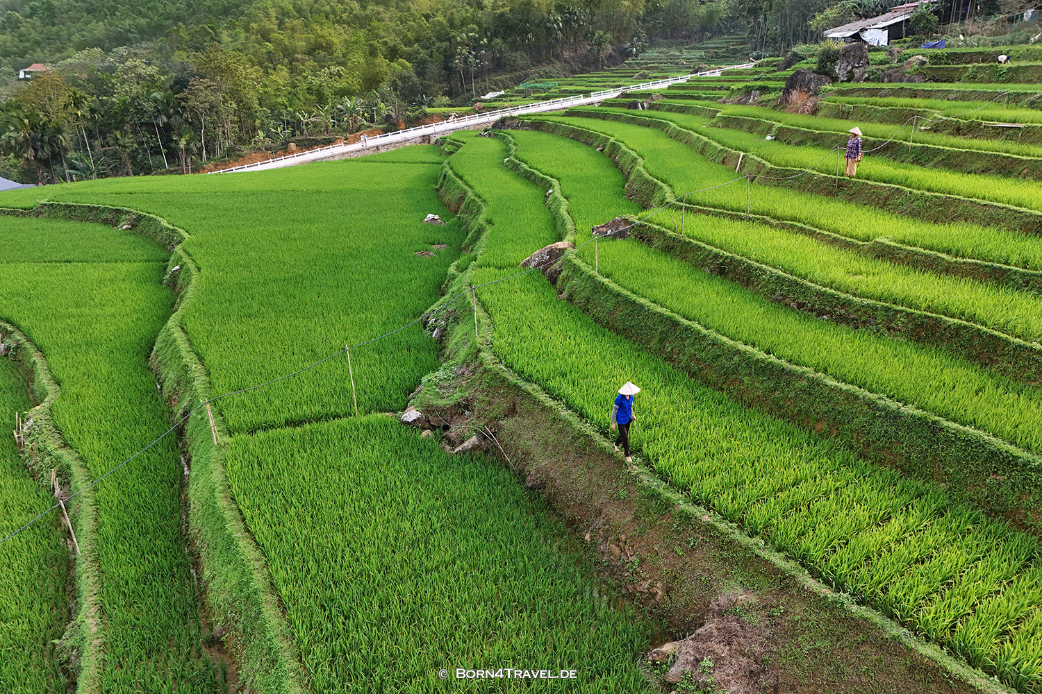 Pu Luông,Vietnam2025,born4travel.de