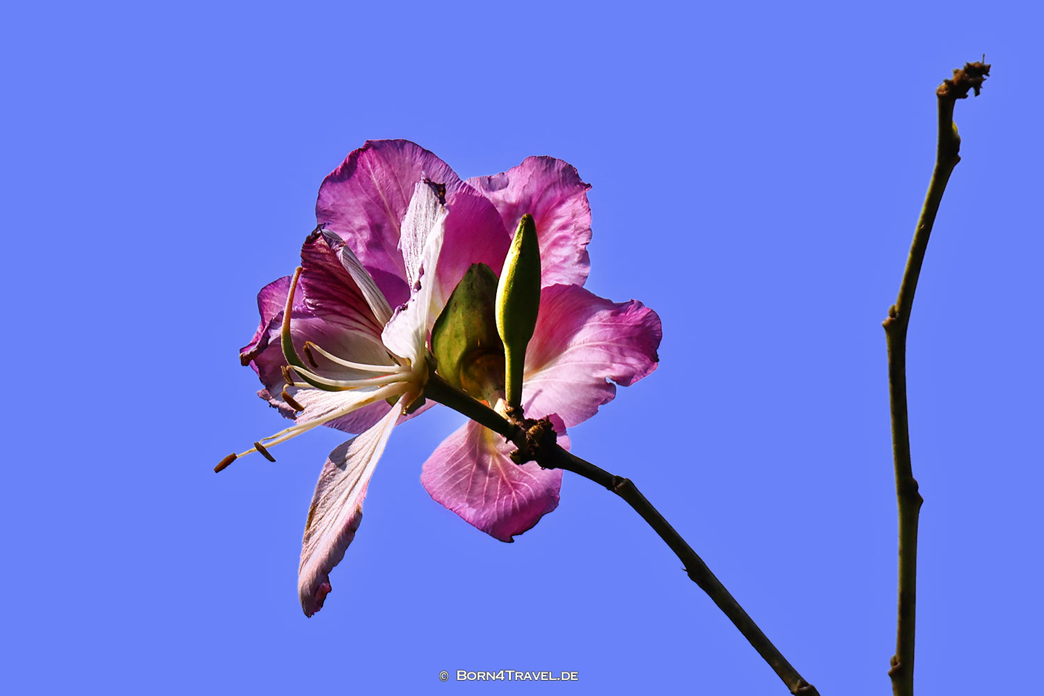  Pu Luông,Vietnam2025,born4travel.de