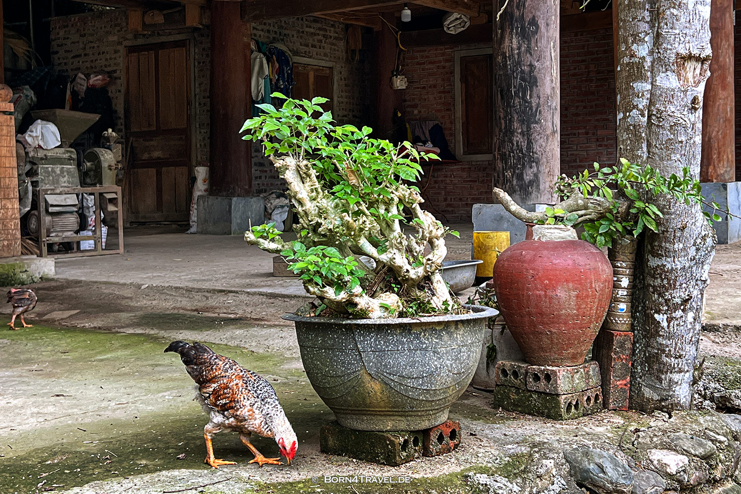 Kho Muong,Pu Luông,Vietnam2025,born4travel.de