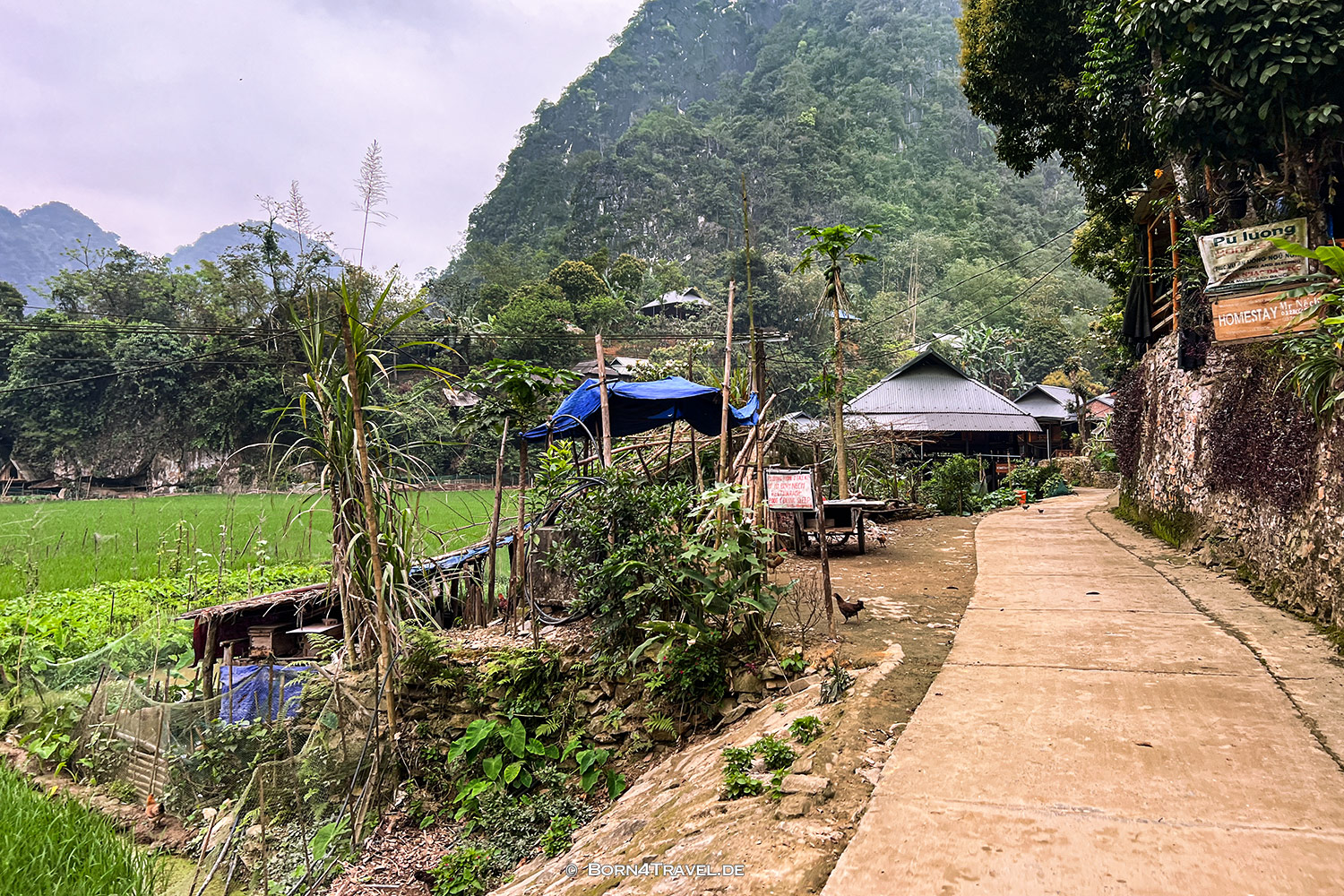 Kho Muong,Pu Luông,Vietnam2025,born4travel.de