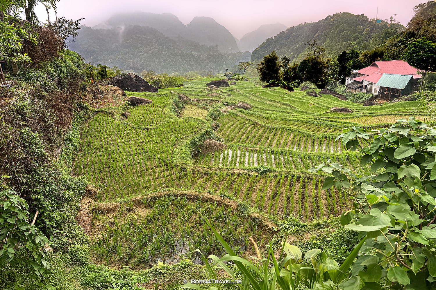 Pu Luông,Vietnam2025,born4travel.de