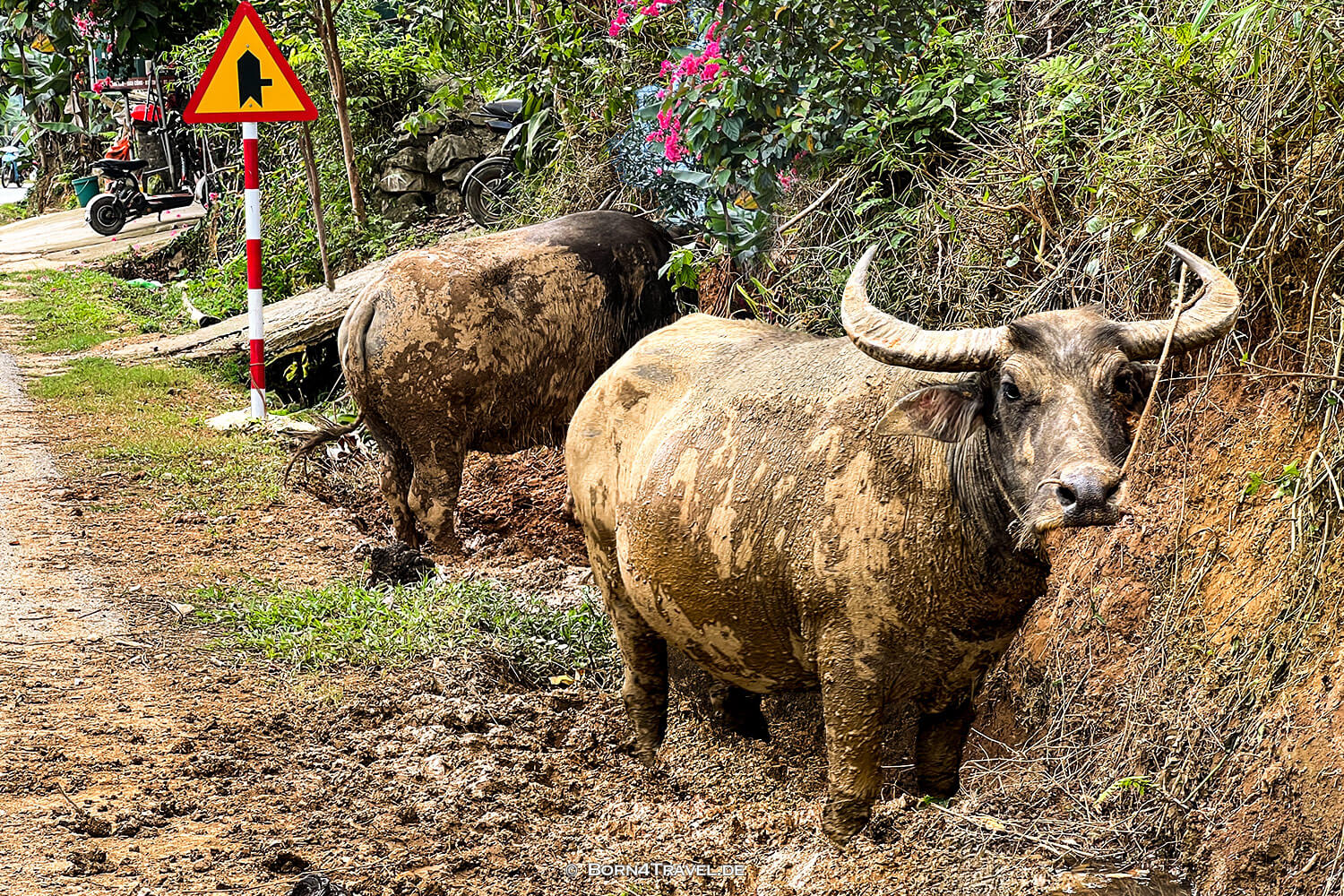 Waterweels Pu Luông,Vietnam2025,born4travel.de