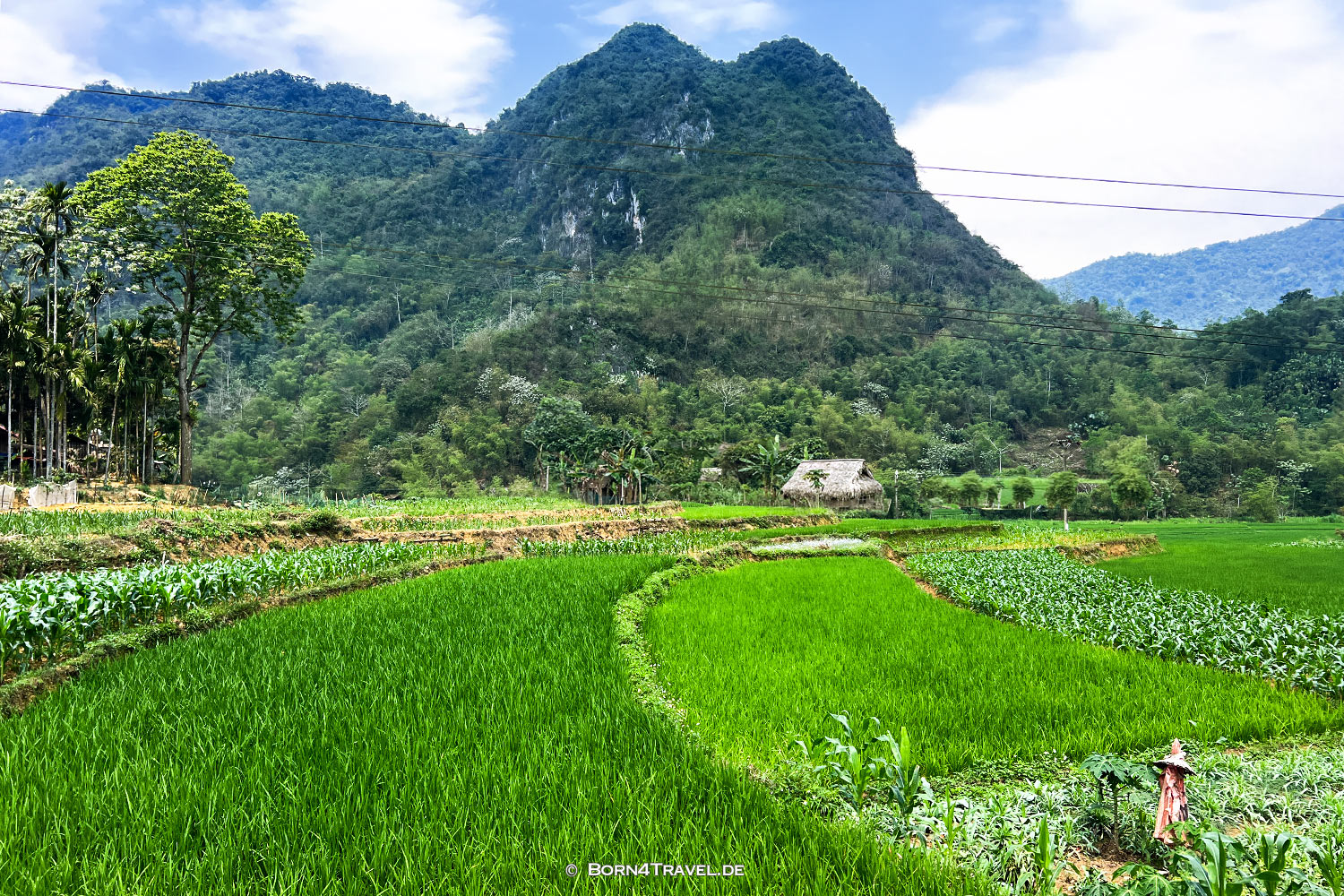  Pu Luông,Vietnam2025,born4travel.de