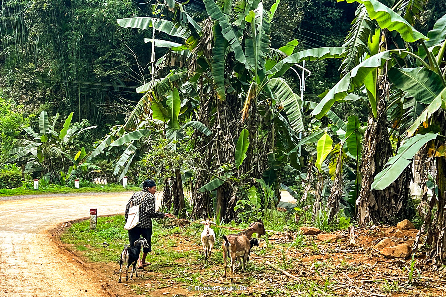  Pu Luông,Vietnam2025,born4travel.de