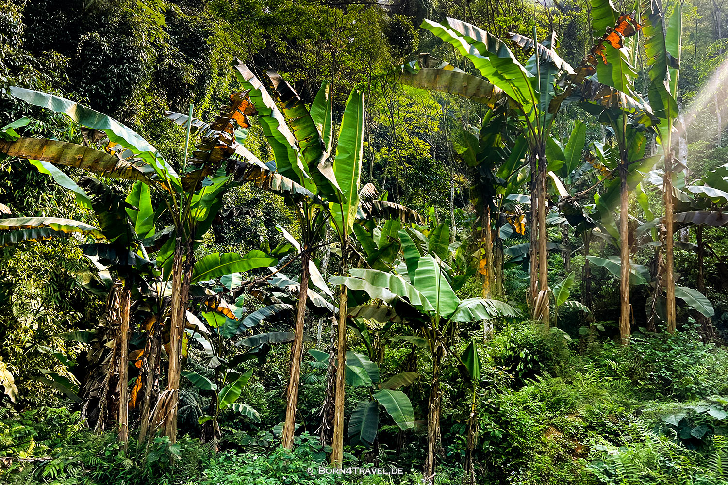  Pu Luông,Vietnam2025,born4travel.de