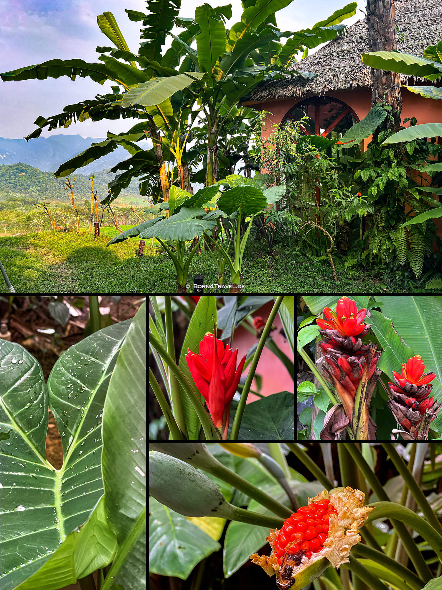 Hanasa Pu Luong Resort,Pu Luông,Vietnam2025,born4travel.de