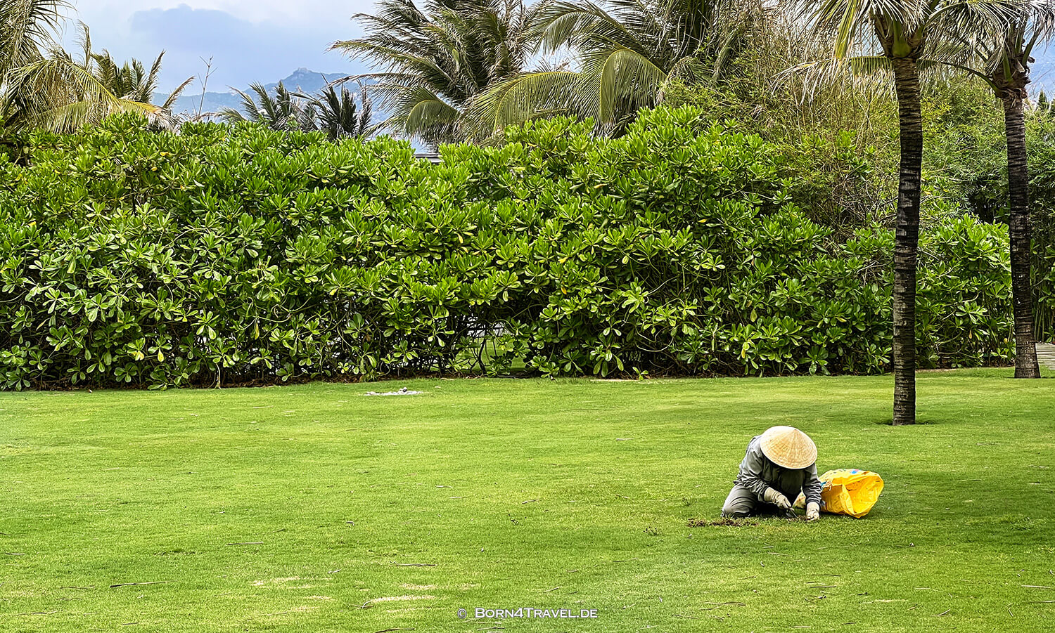 Maia Quy Nhơn,Vietnam2025,born4travel.de