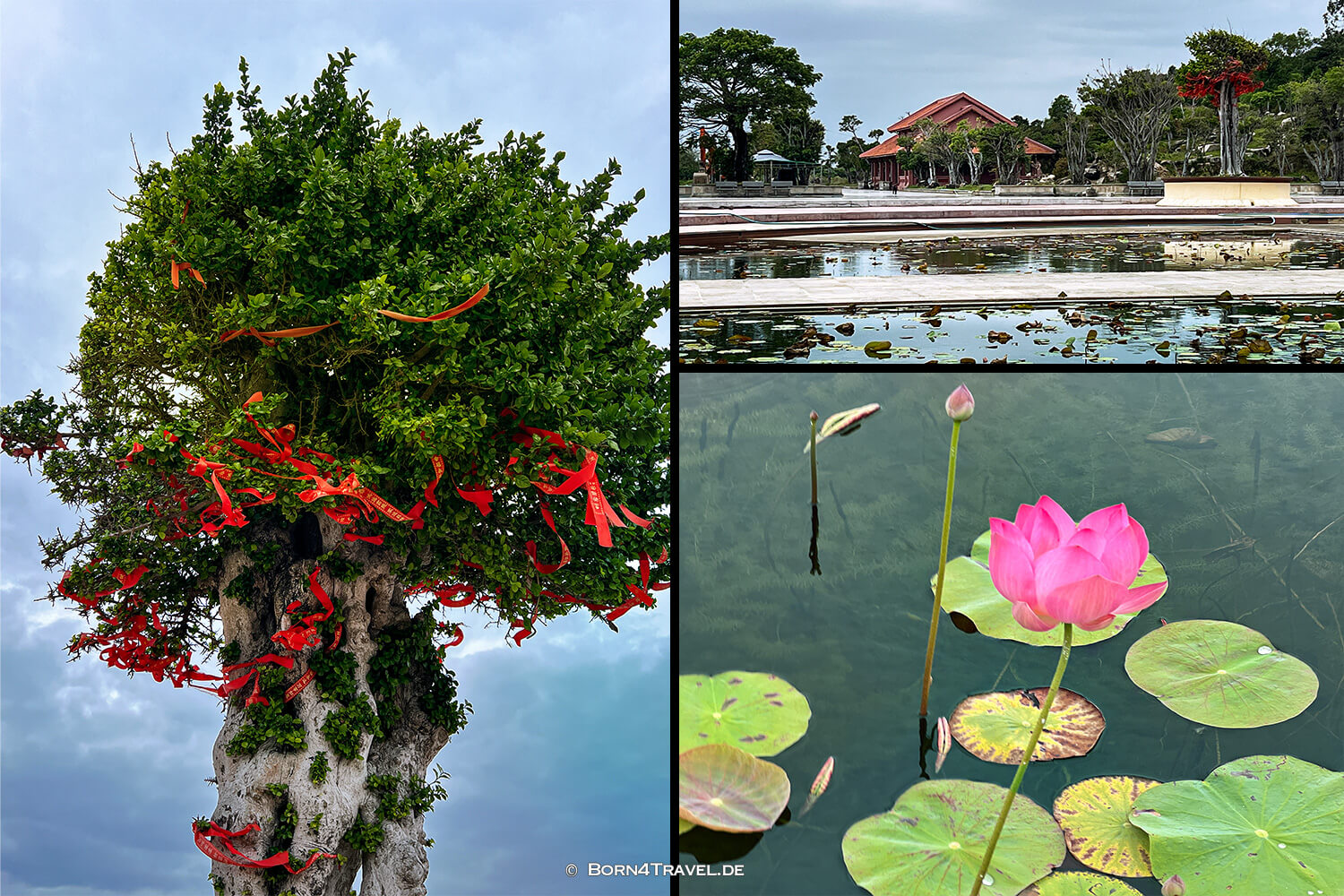Buddha Statue of Thien Hung Zen Quy Nhơn,Vietnam2025,born4travel.de