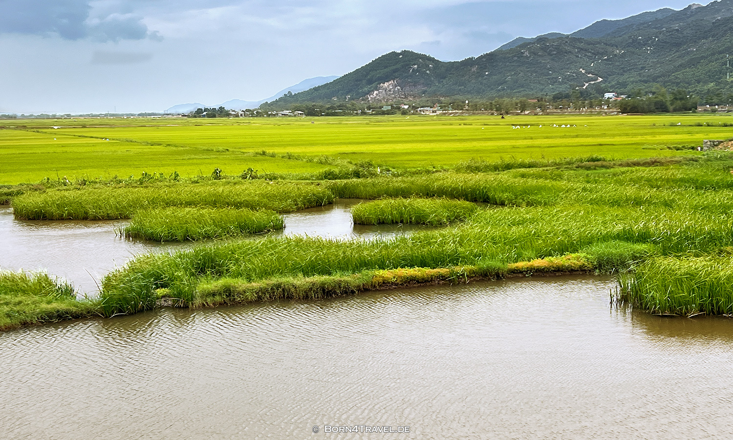 Quy Nhơn,Vietnam2025,born4travel.de