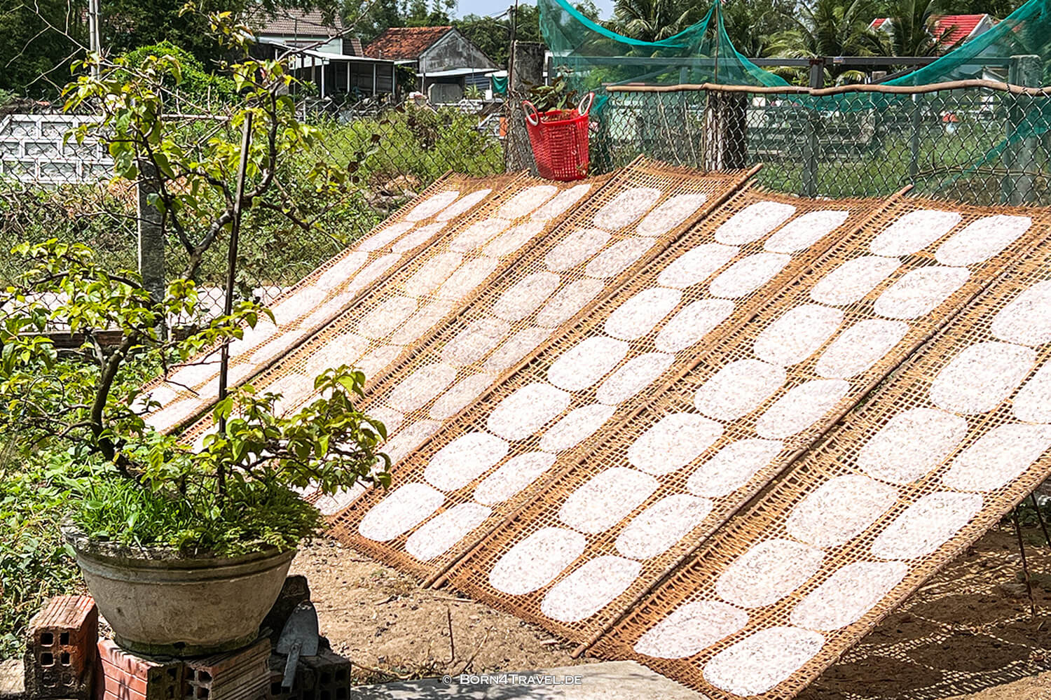 Reispapier-Produktion in Phù Cát,,Vietnam2025,born4travel.de