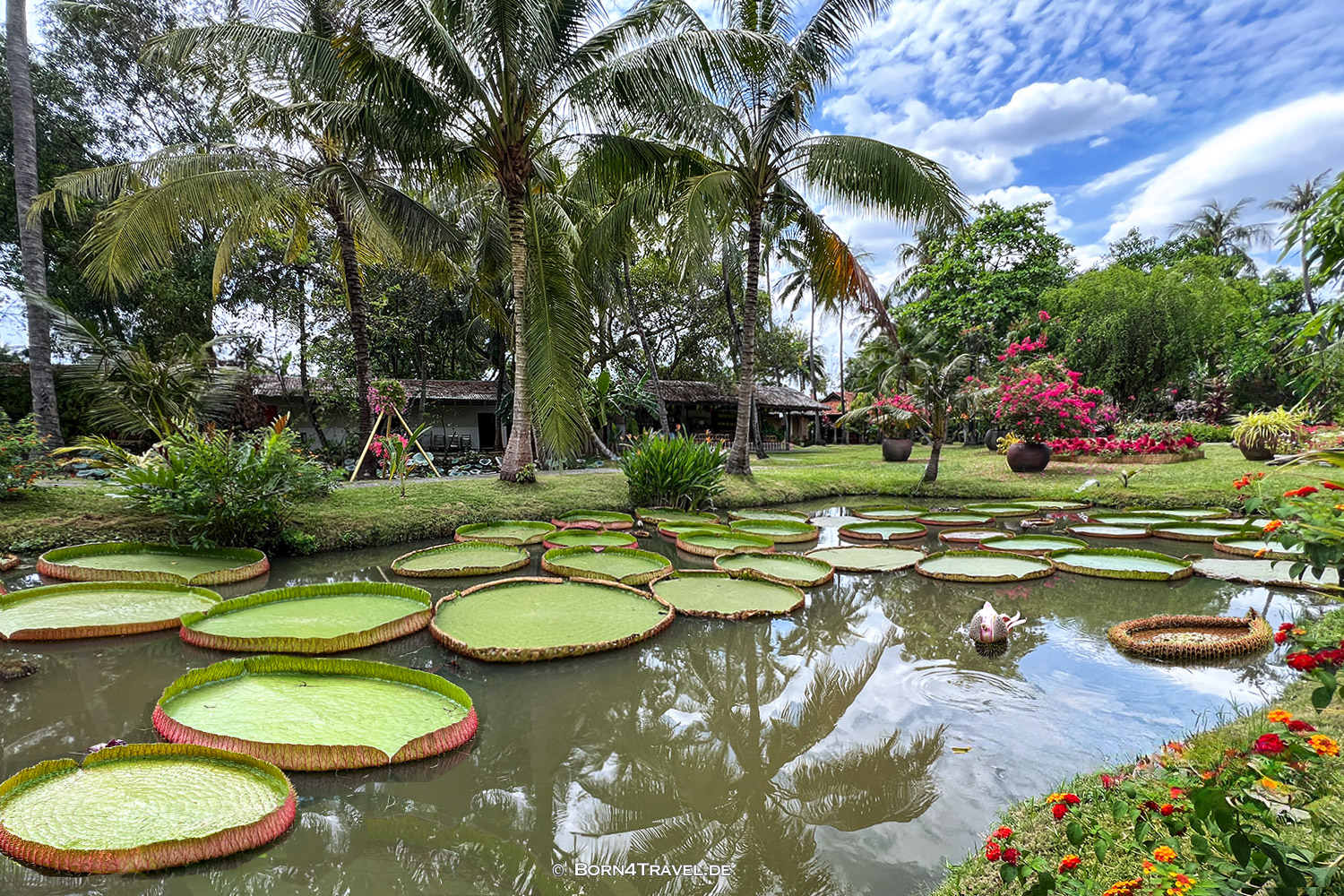 Bình Quới Tourist Village,HCMC,Vietnam2025,born4travel.de