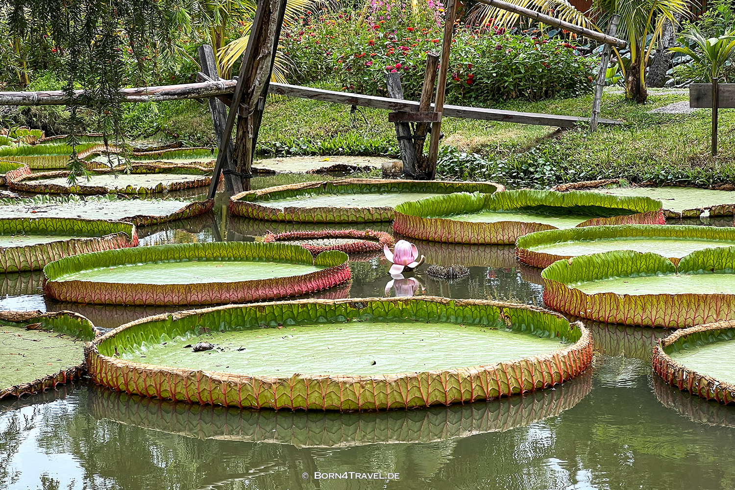 Bình Quới Tourist Village,HCMC,Vietnam2025,born4travel.de