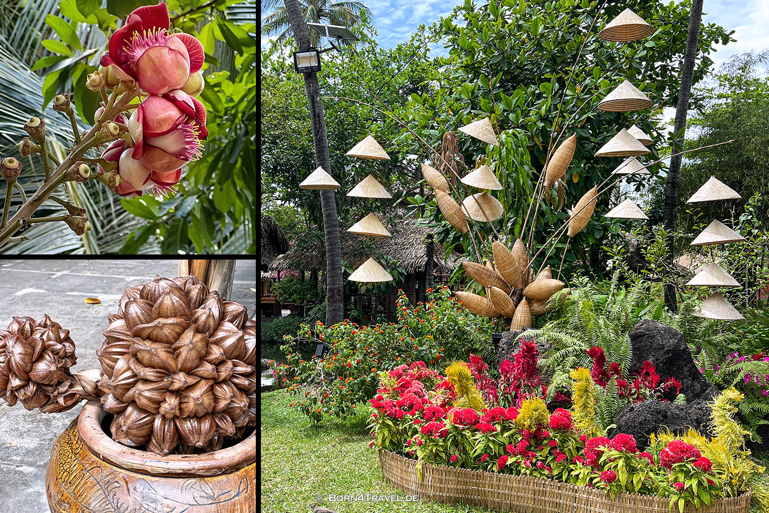 Bình Quới Tourist Village,HCMC,Vietnam2025,born4travel.de