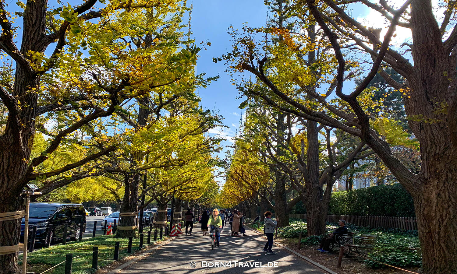 Tokyo,Japan,born4travel.de