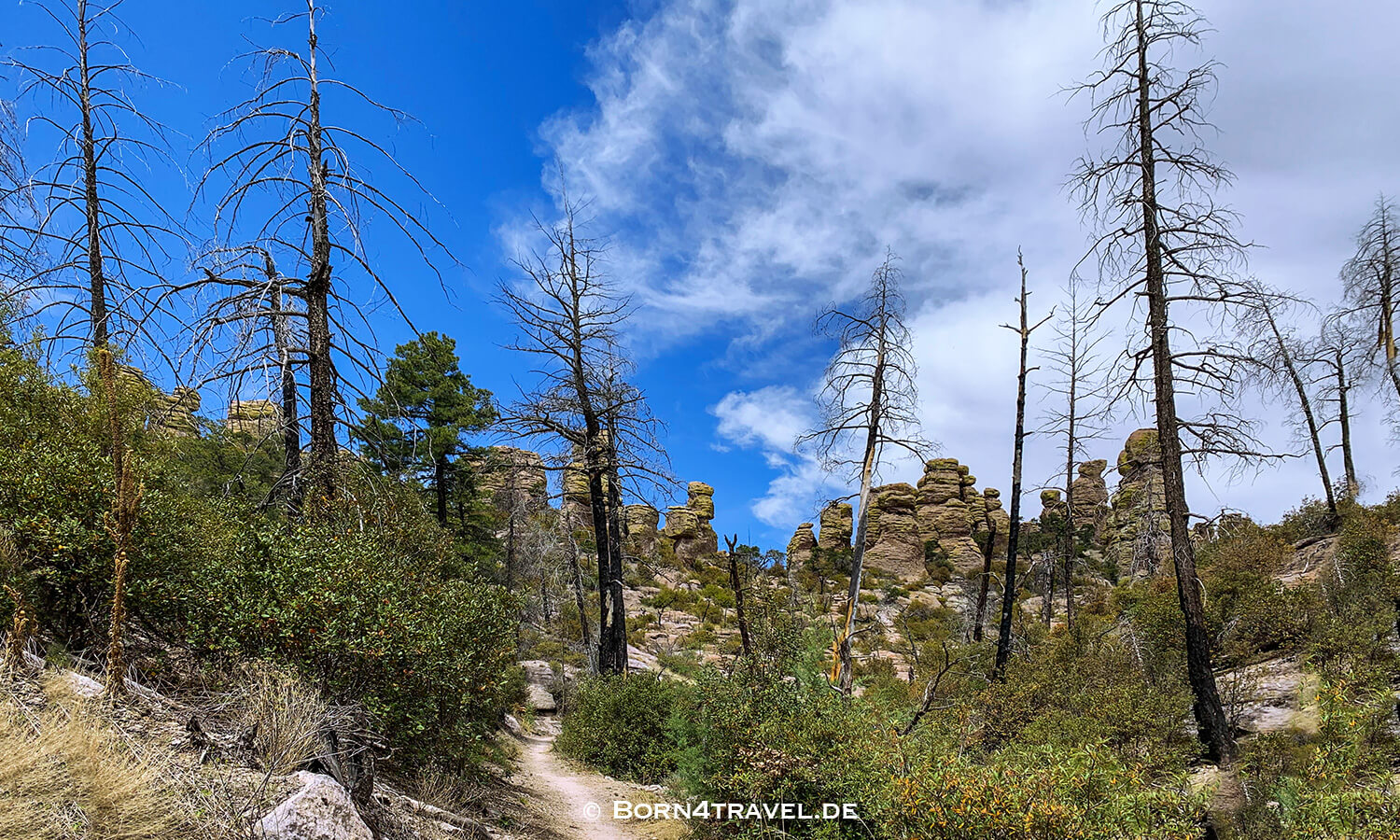 Echo Trail im Chiricahua National Monument, Arizona,USA,born4travel.de