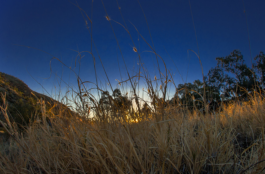 outback, australia, australien