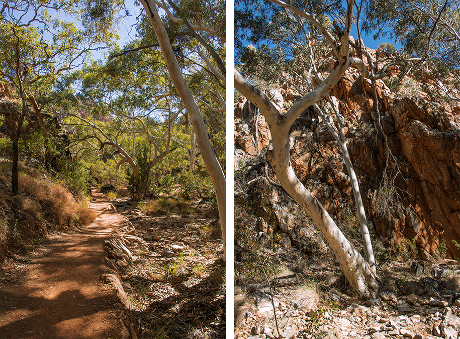 Standley Chasm, outback, australia, australien