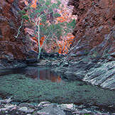 Serpentine Gorge