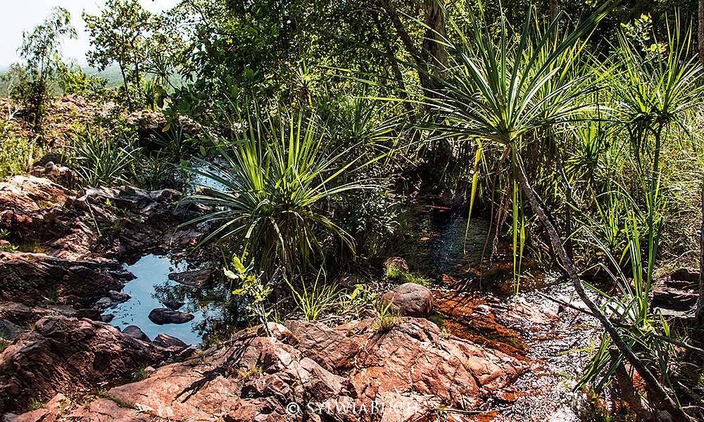Litchfield National Park, Wangi Falls, Wangi Loop Walk Northern Territory, Top End, born4travel.de