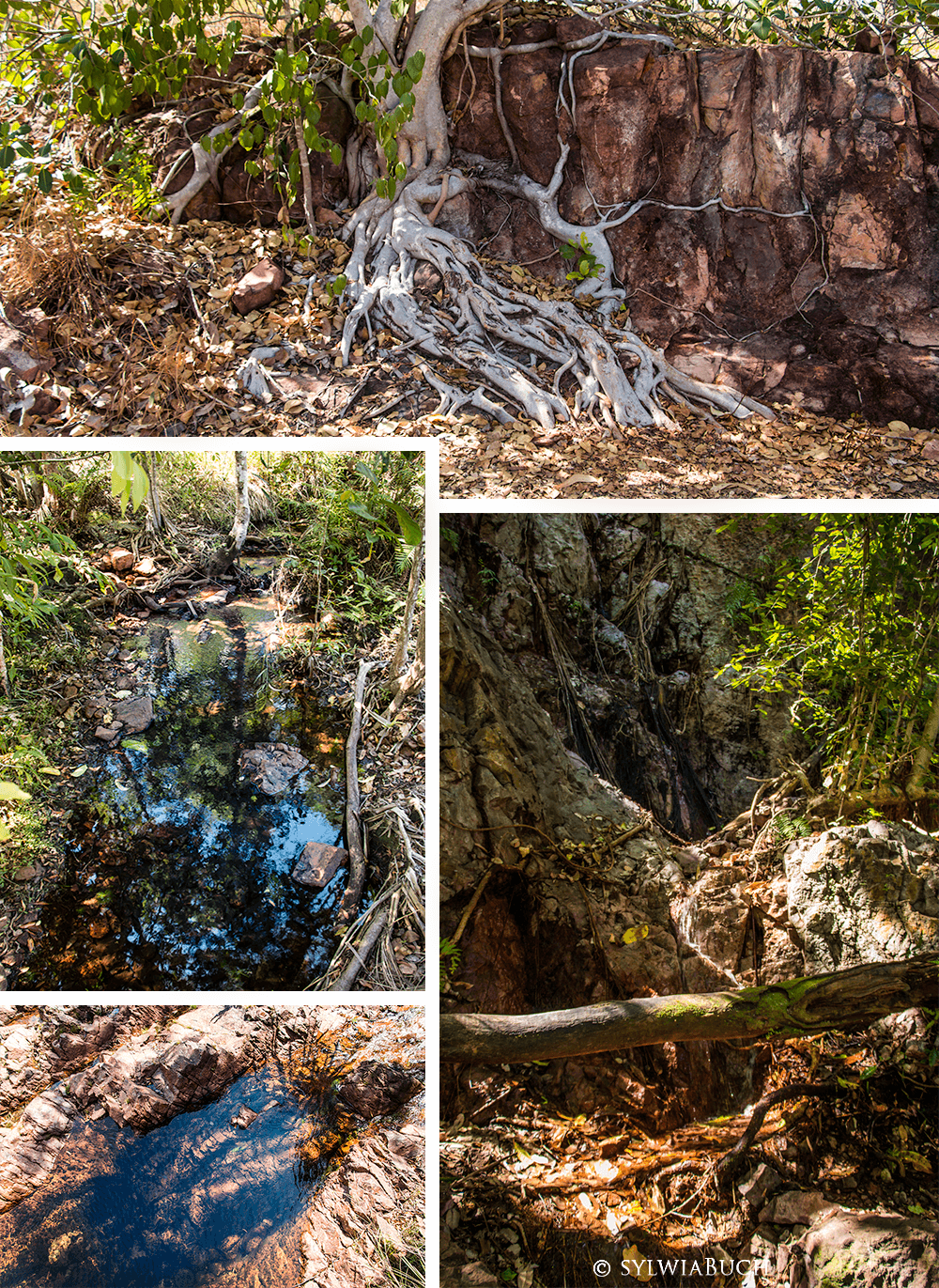 Litchfield National Park, Wangi Falls, Wangi Loop Walk Northern Territory, Top End, born4travel.de
