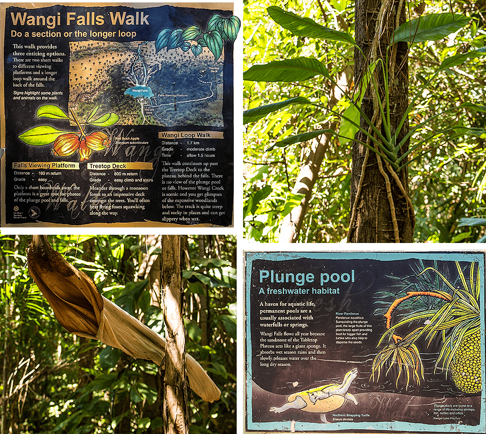 Litchfield National Park, Wangi Falls,  Northern Territory, Top End, born4travel.de