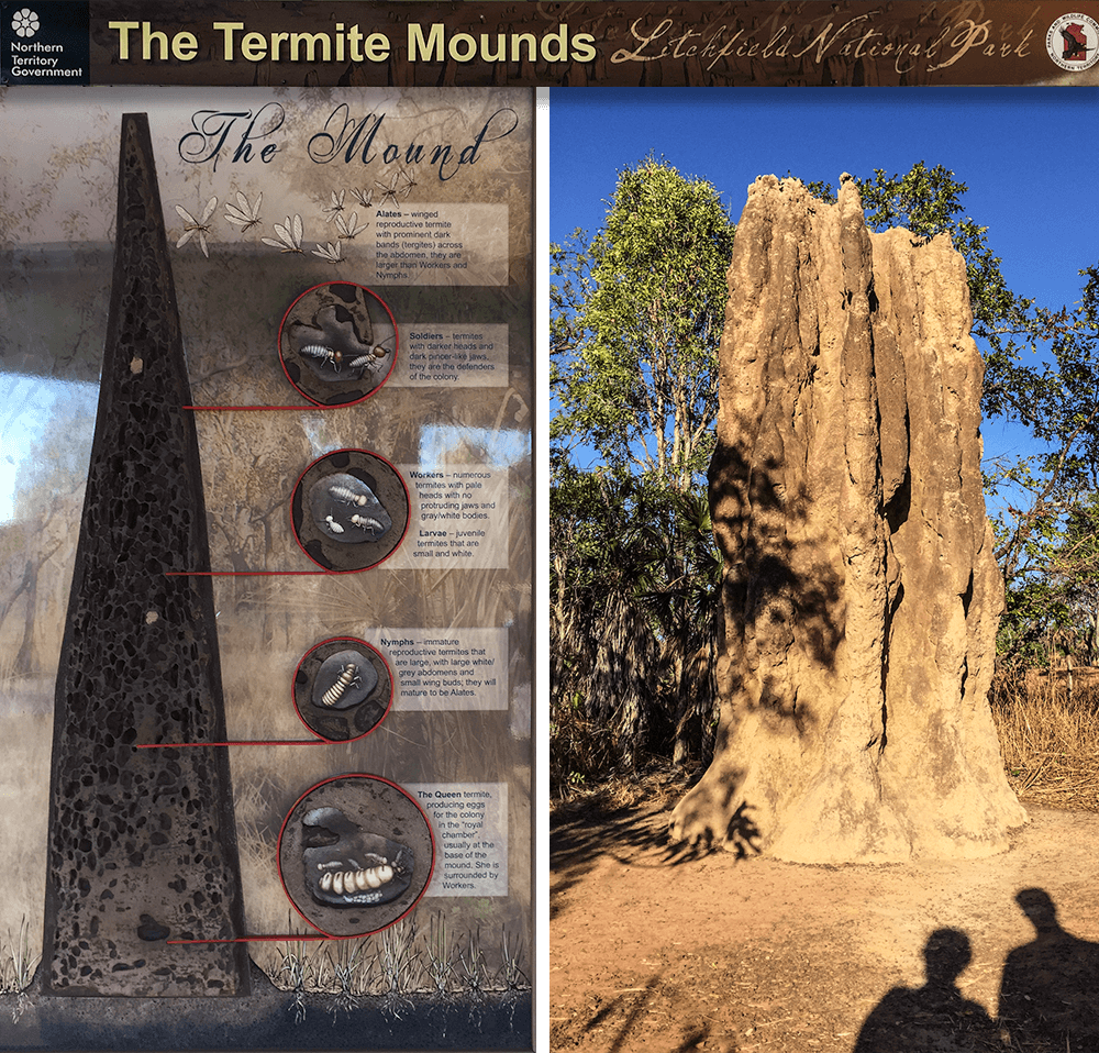 Litchfield National Park,The Termite Mounds, Northern Territory, Top End, born4travel.de