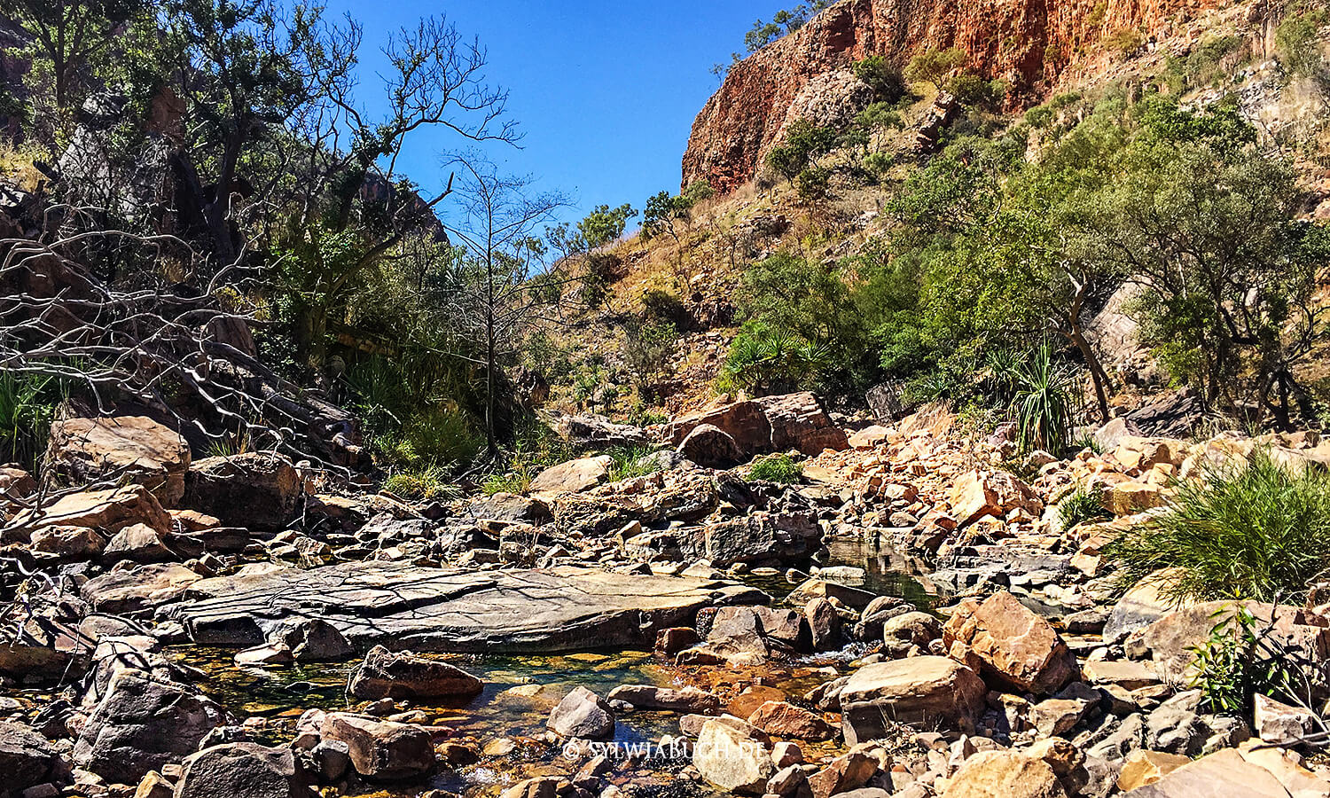El Questro,Emma Gorge,Gibb River Road,Australien,born4travel.de