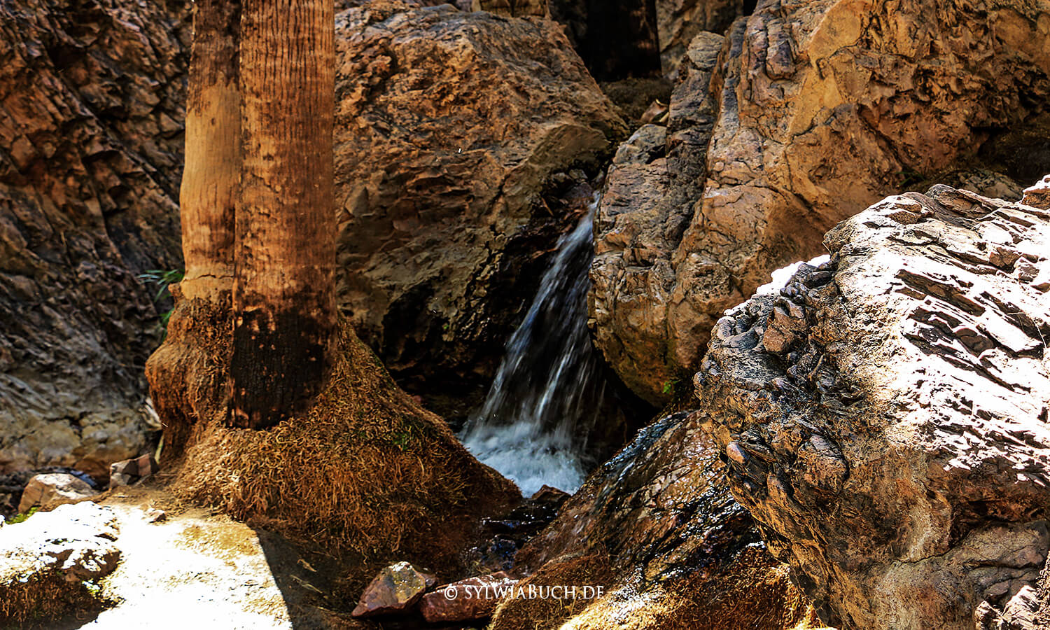El Questro,Zebedee Springs,Gibb River Road,Australien,born4travel.de