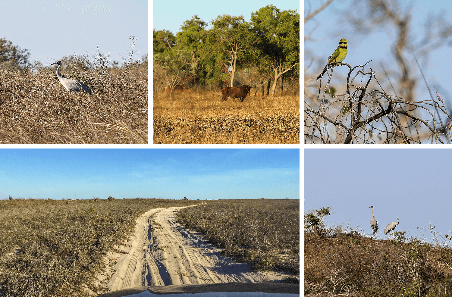 born4travel.de,Yawuru Conservation Park,Australien,born4travel.de