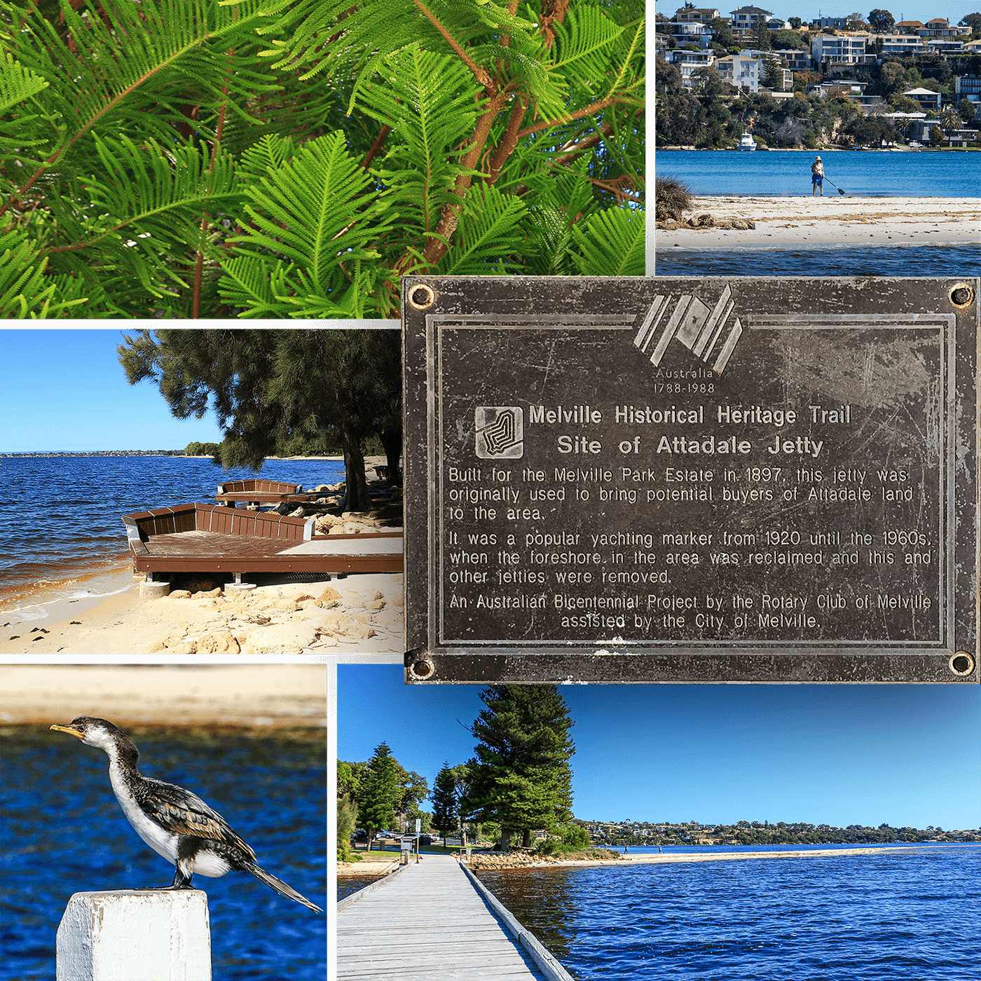born4travel.de,Point Walter Sandbar,Swan River,City of Melville,Australien,born4travel.de